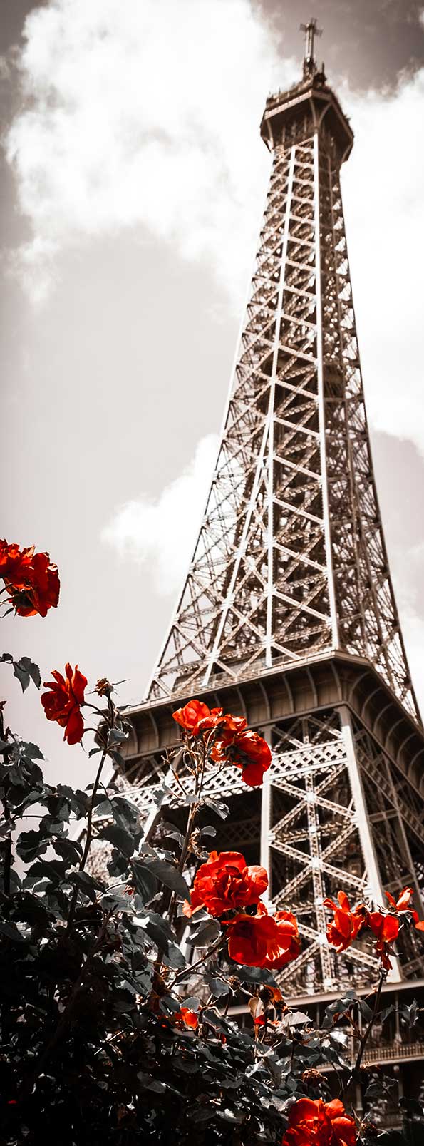 Фотообои "Весна в Париже", Divino A1-085 / ш*в: 1*2,7 м