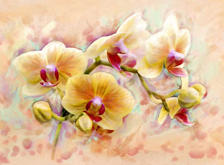 Фотообои "Орхидея живопись", Divino Decor C1-300 / ш*в: 2*1,47 м