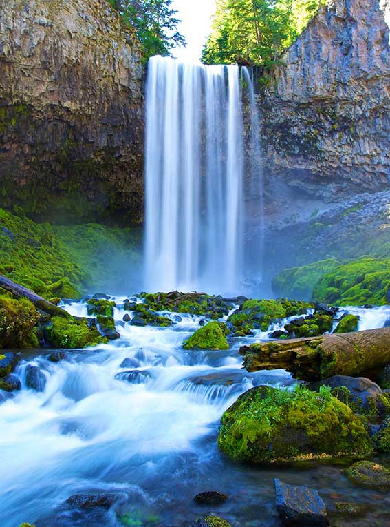 Фотообои "Водопад над речкой", Divino Decor C1-015 / ш*в: 2*2,7 м