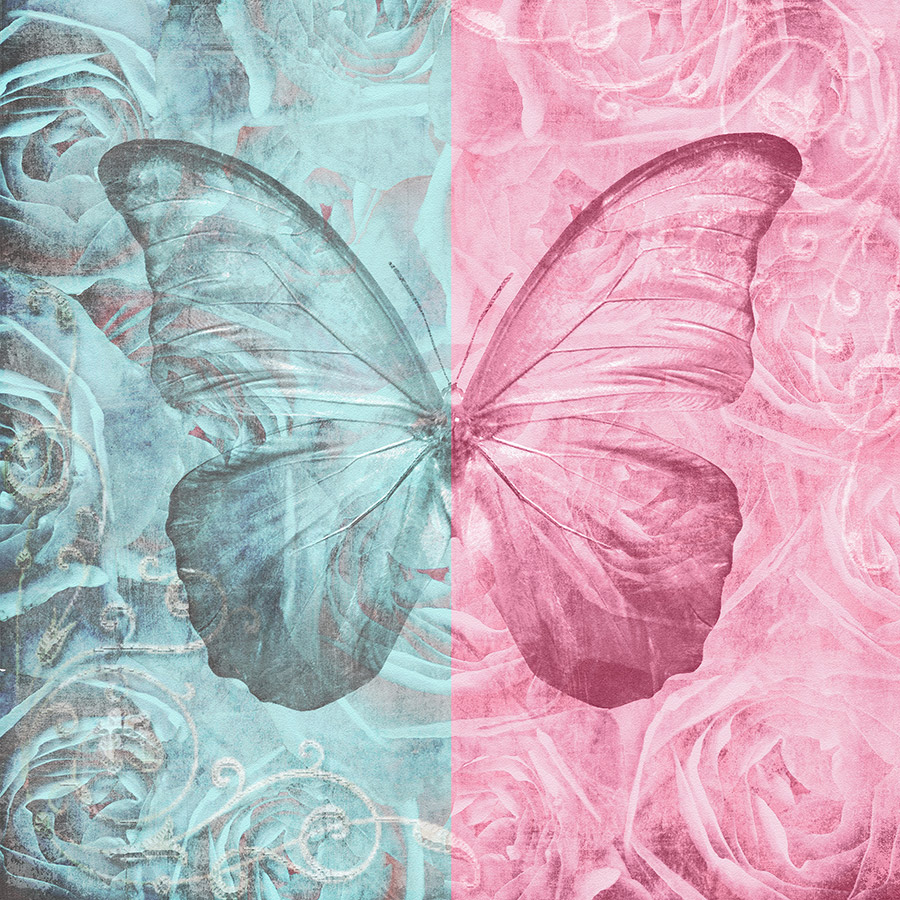 Фотообои Бабочка и розы, Мода Интерио /ш*в: 2.7*2.7 м