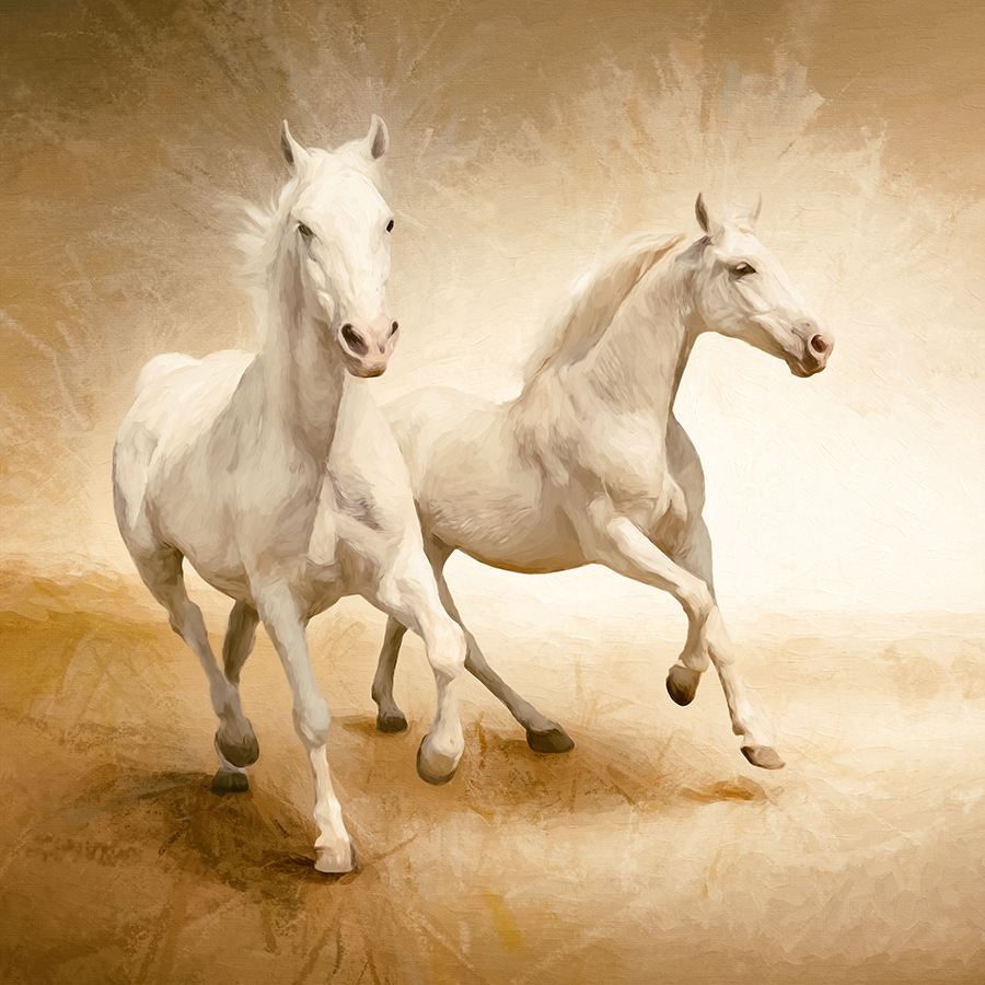 Фотообои Белые кони, Мода Интерио /ш*в: 2.7*2.7 м