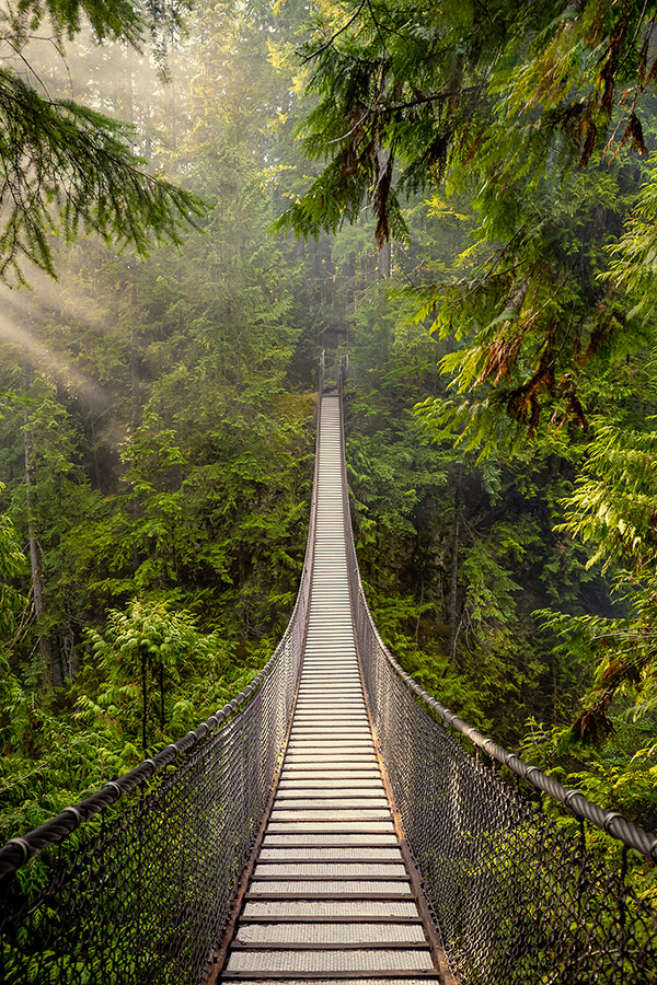 Фотообои Мост в лесу, Мода Интерио /ш*в: 1.8*2.7 м